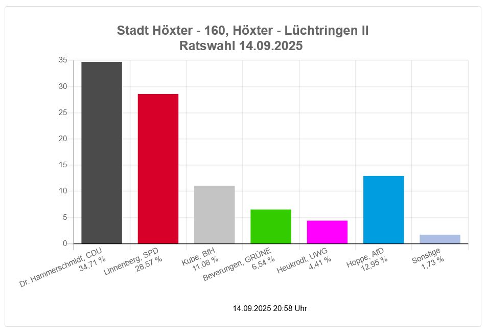 Wahlergebnis Manfred Linnenberg